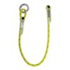 PATRON LANYARD 1